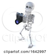 3d Skeleton Takes Some Holiday Snaps With His Camera