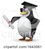 3d Penguin Graduate by Steve Young