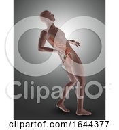 3D Male Figure With Back Muscles Highlighted