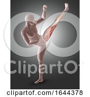3D Male Figure In Kick Boxing Pose With Leg Muscles Highlighted
