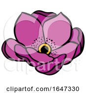 Poster, Art Print Of Purple Flower