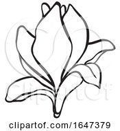 Poster, Art Print Of Black And White Flower