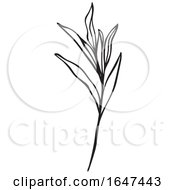 Poster, Art Print Of Black And White Sprig