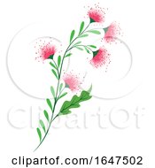 Pink Flowers With Green Stalk