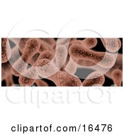 Microscopic Background Of Bacteria Or Blood Cells Clipart Illustration Graphic by 3poD