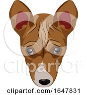Poster, Art Print Of Basenji Dog Face