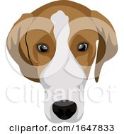 Poster, Art Print Of Beagle Dog Face