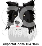 Poster, Art Print Of Border Collie Dog Face