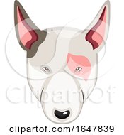 Poster, Art Print Of Bull Terrier Dog Face