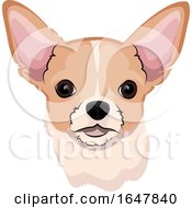 Poster, Art Print Of Chihuahua Dog Face