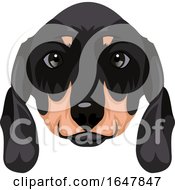 Poster, Art Print Of Dachshund Dog Face