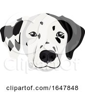 Poster, Art Print Of Dalmatian Dog Face