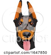 Poster, Art Print Of Doberman Pinscher Dog Face