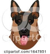 Poster, Art Print Of German Shepherd Dog Face