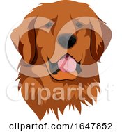 Poster, Art Print Of Golden Retriever Dog Face