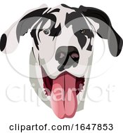 Poster, Art Print Of Great Dane Dog Face