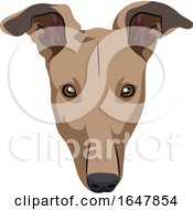 Poster, Art Print Of Greyhound Dog Face