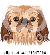 Poster, Art Print Of Pekingese Dog Face