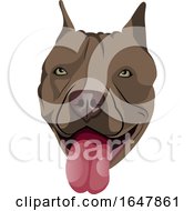 Pit Bull Dog Face