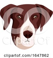 Poster, Art Print Of Pointer Dog Face