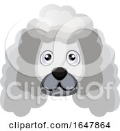 Poster, Art Print Of White Poodle Dog Face