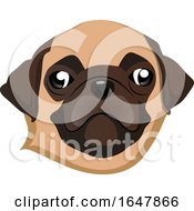 Poster, Art Print Of Pug Dog Face