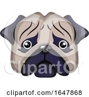 Poster, Art Print Of Sad Pug Dog Face
