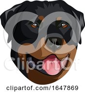 Poster, Art Print Of Rottweiler Dog Face