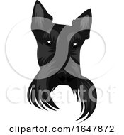 Poster, Art Print Of Black Scotish Terrier Dog Face