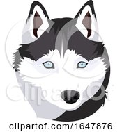 Poster, Art Print Of Siberian Husky Dog Face
