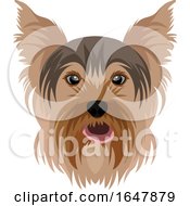 Poster, Art Print Of Yorkie Yorkshire Terrier Dog Face