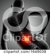 3D Female Figure With Spine Highlighted