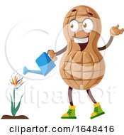 Poster, Art Print Of Cartoon Peanut Mascot Character Watering A Flower