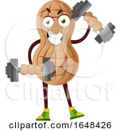 Poster, Art Print Of Cartoon Peanut Mascot Character Working Out With Dumbbells