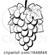 Poster, Art Print Of Black And White Grapes