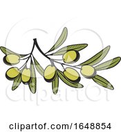 Green Olive Design