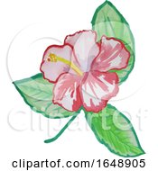 Watercolor Hibiscus Flower