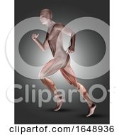 Poster, Art Print Of 3d Male Figure In Running Pose With Leg Muscles Highlighted