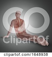 Poster, Art Print Of 3d Male Figure In Yoga Pose With Back Muscles Highlighted
