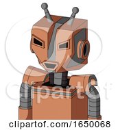Peach Robot With Mechanical Head And Happy Mouth And Angry Eyes And Double Antenna