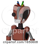 Brown Droid With Droid Head And Teeth Mouth And Two Eyes And Wire Hair