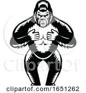 Silverback Gorilla Thumping His Chest by patrimonio