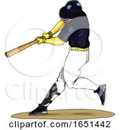 Baseball Player Swings The Bat