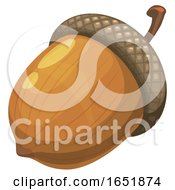 Acorn by Vector Tradition SM