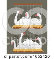 Geese Crowded Cage Illustration