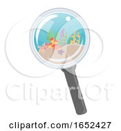 Poster, Art Print Of Magnifying Glass Biological Oceanography