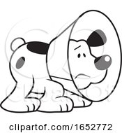 Poster, Art Print Of Cartoon Black And White Dog Wearing An E Collar