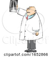 Cartoon Chubby Male Doctor Reviewing An Xray