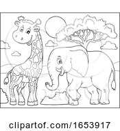 Poster, Art Print Of Black And White Elephant And Giraffe
