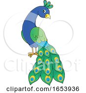 Poster, Art Print Of Cute Peacock Bird